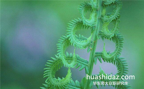 2017年華東師范大學(xué)在職研究生報(bào)名結(jié)束了嗎